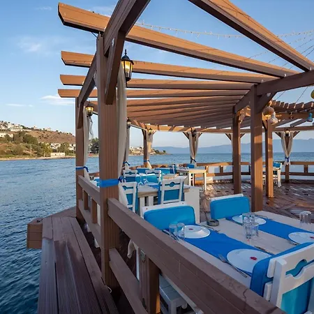 מלון Golden Bodrum טורגוטריס